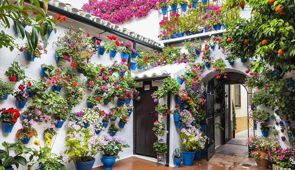 Hacienda Miraflores * Cordoba